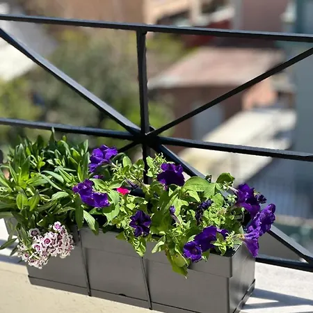 Filippos Loft * Argostoli (Kefalonia)