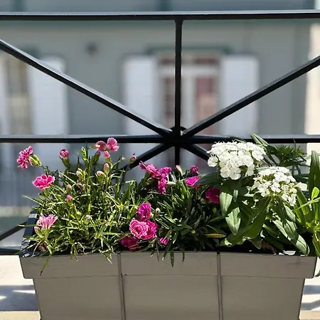 Apartament Filippos Loft